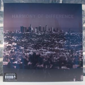 Harmony of Difference (02)